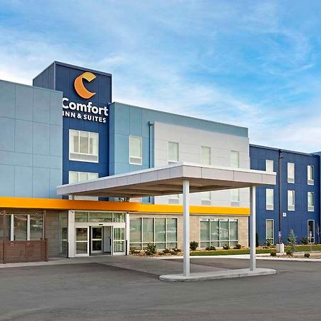 Comfort Inn & Suites Us-60 Mountain Grove Ngoại thất bức ảnh