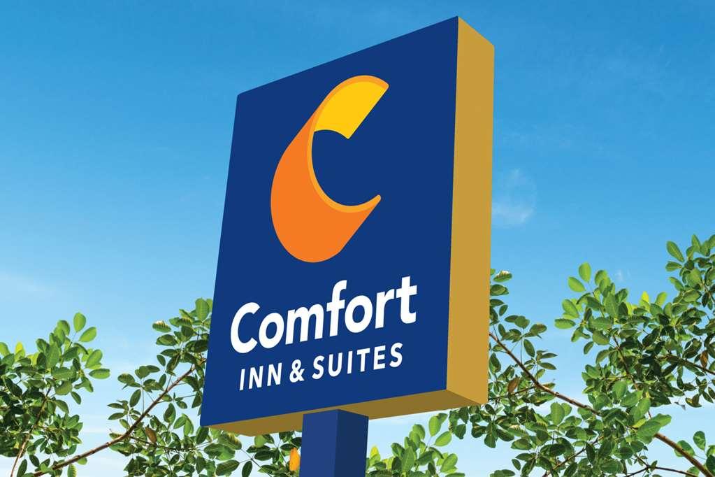 Comfort Inn & Suites Us-60 Mountain Grove Ngoại thất bức ảnh